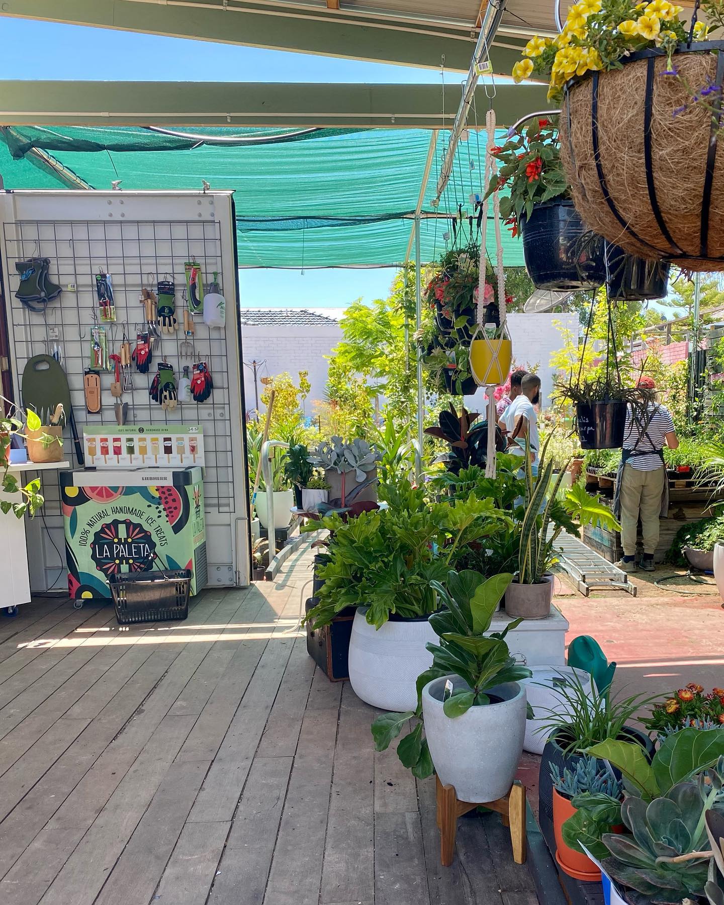 Harbour Plants Visit Fremantle